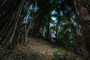 BIB: 
                            <button type="button" onclick="openModal(19395485)" class="btn btn-primary btn-sm float-right btn-popup" data-toggle="modal" data-target=".modal-high-quality">
                        <i class="fas fa-shopping-cart"></i> Add to Cart
                    </button>
                                            <button type="button" onclick="isThisMe(19395485, true)" class="btn btn-success btn-sm float-right btn-popup btn-isme hidden" data-toggle="tooltip" data-placement="bottom" title="นี่คือรูปของคุณใช่ไหม คลิกที่นี่เพื่อเอาเข้าอัลบั้ม">
                        <i class="fas fa-plus"></i> Add to album
                    </button>
                    <button type="button" onclick="isThisMe(19395485, false)" class="btn btn-warning btn-sm float-right btn-popup btn-isnotme hidden">
                        <i class="fas fa-ban"></i> Remove from album
                    </button>